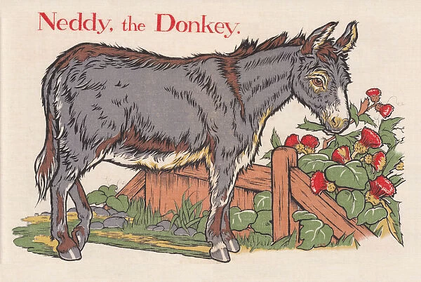 Donkey. An image depicting a donkey. Artist: Edith Berkeley
