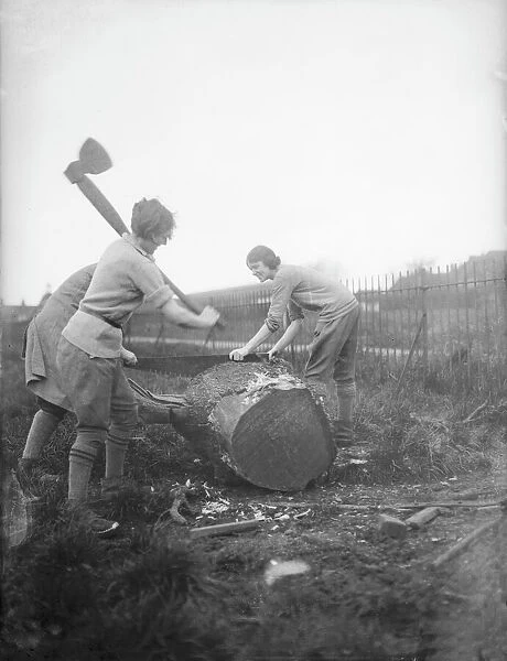 Female Lumberjacks