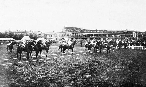 Horses at starting line, Doncaster racecourse