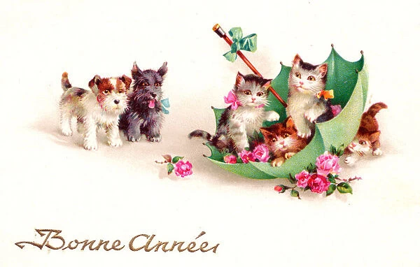 Kittens and puppies on a French New Year postcard
