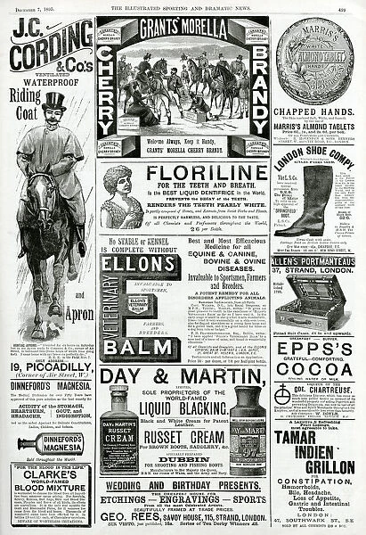 Page of Victorian adverts 1895
