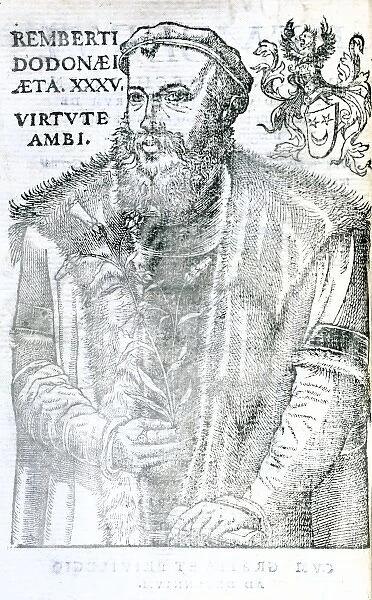 Rembert Dodoens (1516-1585)