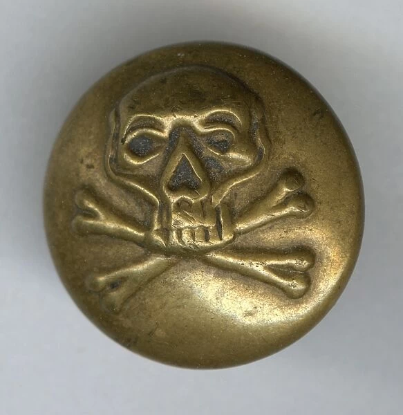 Skull and crossbones military button