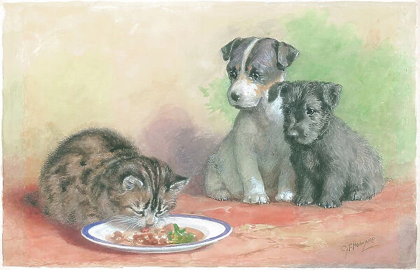 What About Us? Dogs cats Watercolour painting