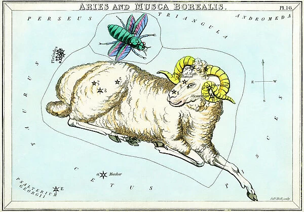 Aries and Musca Borealis constellations