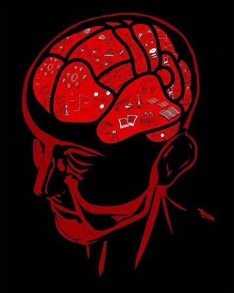 Brain areas, conceptual illustration C018  /  0749