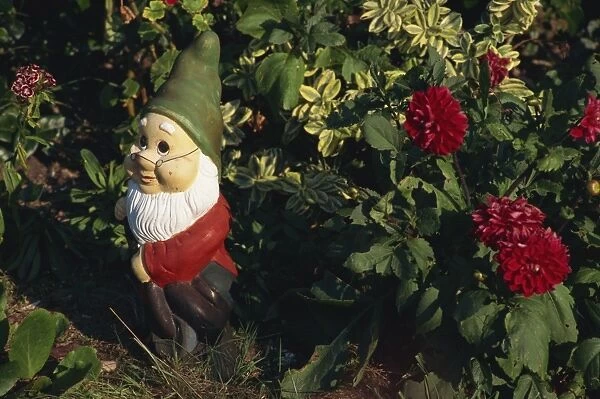 Close-up of a garden gnome outdoors beside a red dahlia in flower