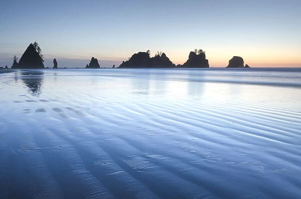 Twilight over Shi Shi Beach, sea stacks of Point of the Arches are in the distance