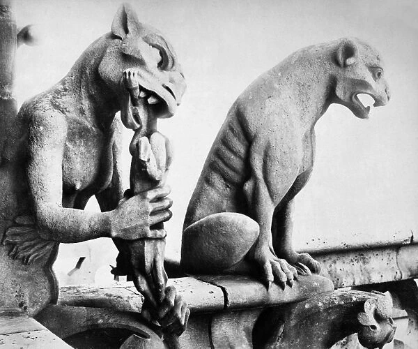 NOTRE DAME: GARGOYLES. Gargoyles on the roof of Notre Dame Cathedral in Paris, France, dating to Eugene Viollet-le-Ducs restoration of the cathedral in the mid-19th century. Photograph, mid-20th century