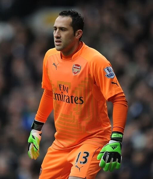 Arsenal's David Ospina Goes Head-to-Head with Tottenham Hotspur in Intense Premier League Showdown (2014-15)