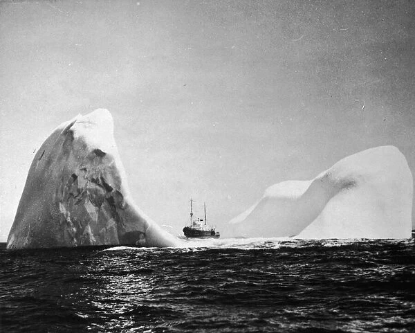 Ice Giant. circa 1950: US Coast Guard cutter Acushnet dwarfed by a crescent