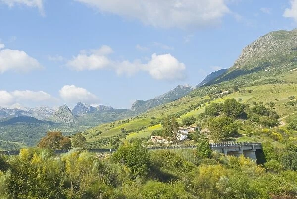 National Park near village of Grazalema, CAzAadiz, Andalucia, Spain