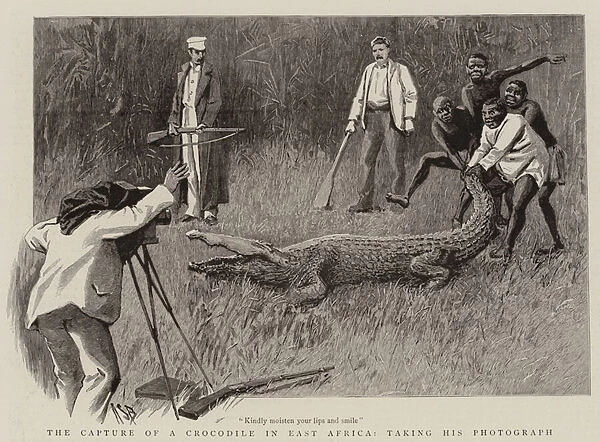 The Capture of a Crocodile in East Africa, taking his Photograph (engraving)