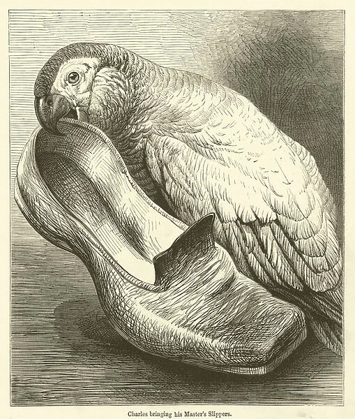 Charles bringing his Masters Slippers (engraving)