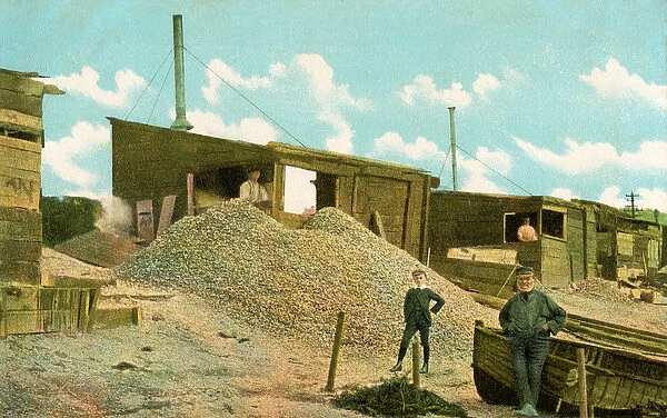 The cockle sheds in the old town, Leigh-on-Sea, Essex, England (colour litho)