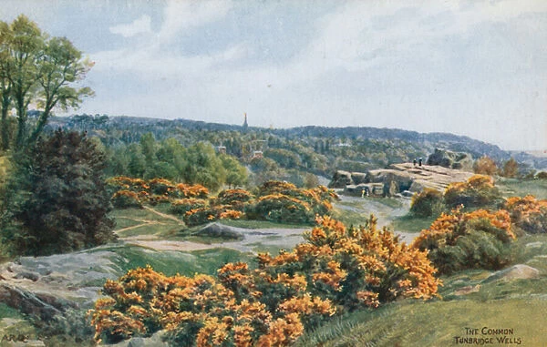 The Common, Tunbridge Wells (colour litho)