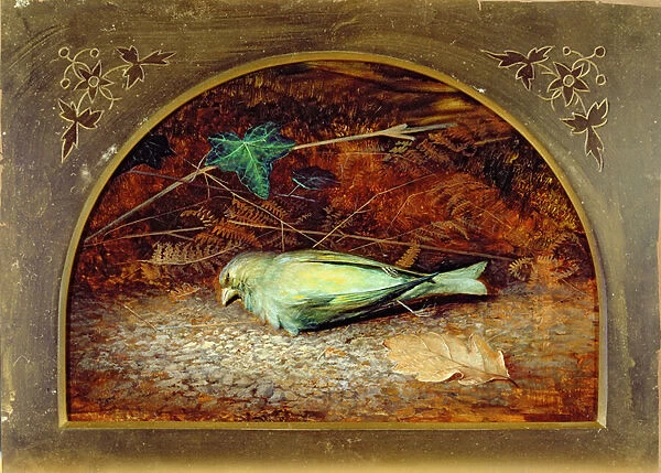 A Dead Linnet, 1862 (oil on board)