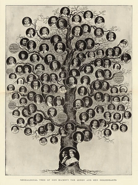 Genealogical Tree of Her Majesty the Queen and her Descendants (litho)