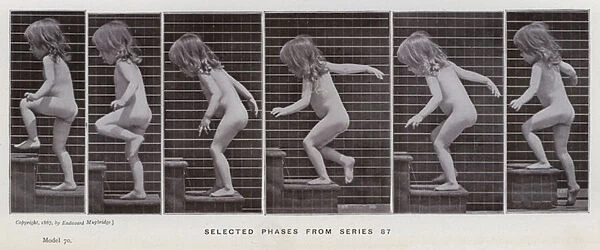 The Human Figure in Motion: Selected phases from series 87 (b  /  w photo)