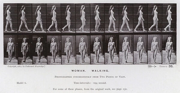The Human Figure in Motion: Woman, Walking (b  /  w photo)