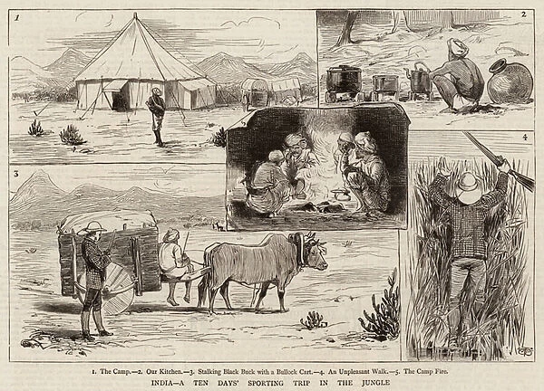 India, a Ten Days Sporting Trip in the Jungle (engraving)
