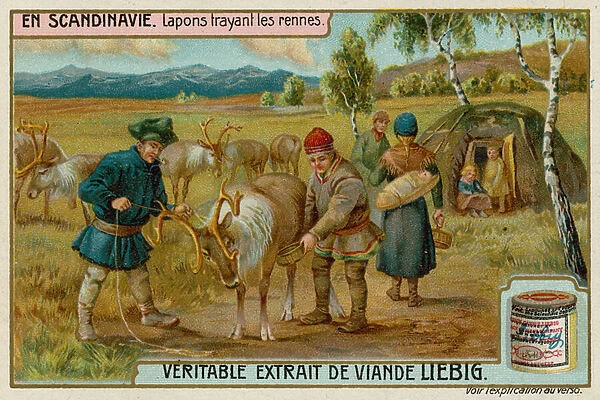 Laplanders Milking Reindeer (chromolitho)