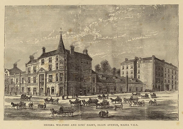 Messrs Welford and Sons Dairy, Elgin Avenue, Maida Vale (engraving)