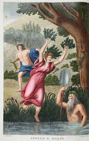 Phoebus and Daphne or Apollo e Dafne, illustration from Ovids Metamorphoses