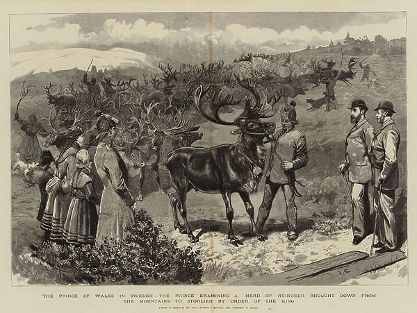 The Prince of Wales in Sweden, the Prince examining a Herd of Reindeer brought down from the Mountains to Storlien by Order of the King (engraving)