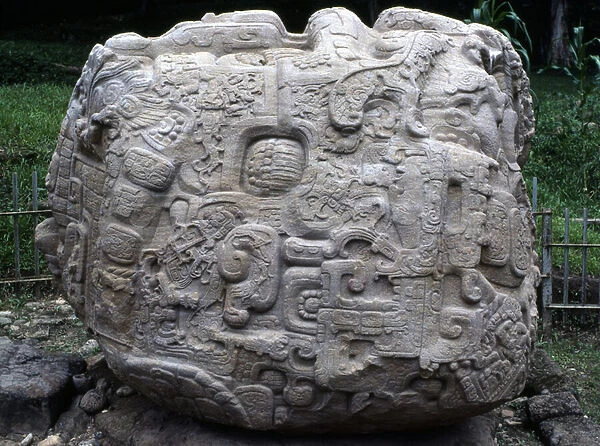 Side view of zoomorphic stone P, Late Classic period (600-900 AD) (stone)