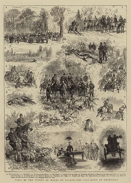 Visit of the Prince of Wales to France, the Stag-Hunt at Chantilly (engraving)