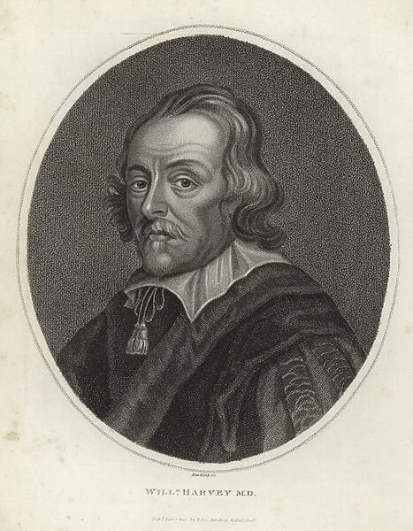 William Harvey (engraving)