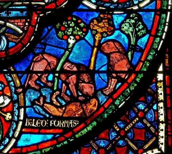 Window w3 depicting a lion and cubs (stained glass)