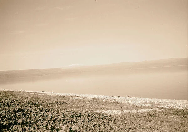 Mt Hermon sea west shore 1940 Middle East