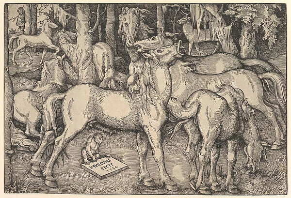 Group of Seven Horses, 1534. Creator: Hans Baldung