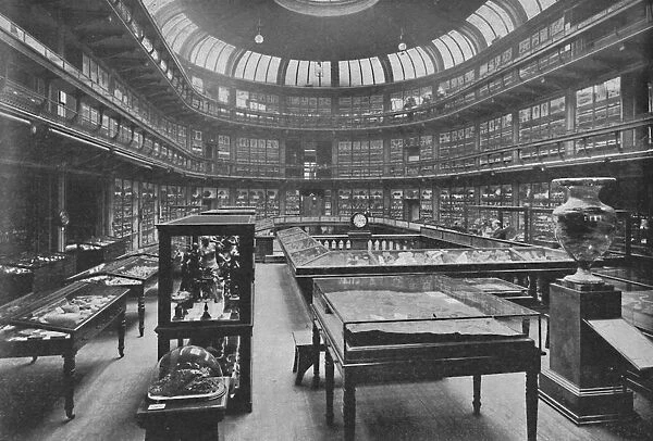Interior of the Geological Museum, Jermyn Street, 1904