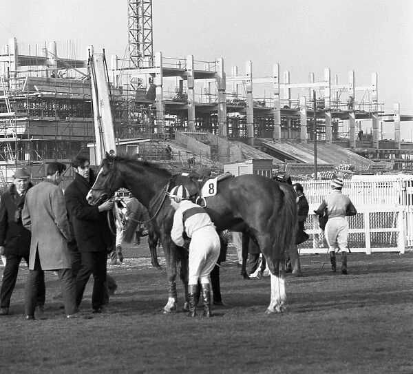 Racehorse and jockey in front of Doncaster Racecourse grandstand, South Yorkshire, 1969