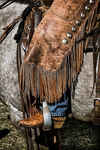 American Cowboy with chaps in the saddle