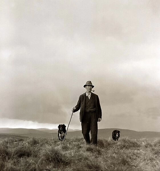 A shepherd smoking his pipe holding his crook out walking on the moors with his border