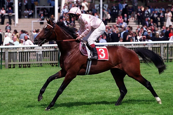 Wellbeing Ridden By Tony Quinn 06 May 2000 Date: 06 May 2000