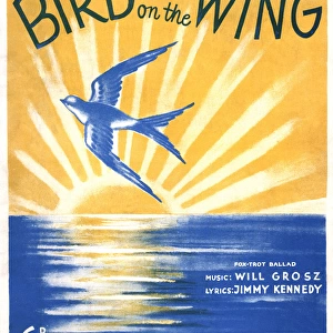 Bird on the Wing - Music Sheet Cover