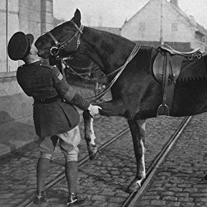 A Canadian staff officer saying goodbye to his horse