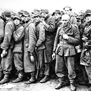Captured German Soldiers, Holland; Second World War, 1944