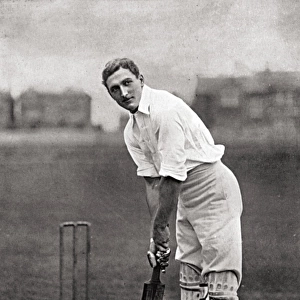 Cricketer, Fry
