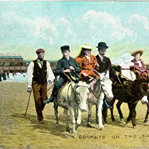 Donkeys on the Sands, Scarborough, Yorkshire