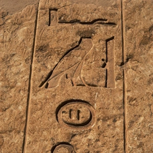 Egyptian Art. Necropolis of Saqqara. Hieroglyphs in a mastab