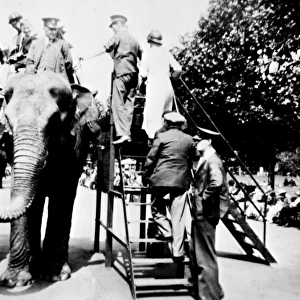 Elephant ride at London Zoo