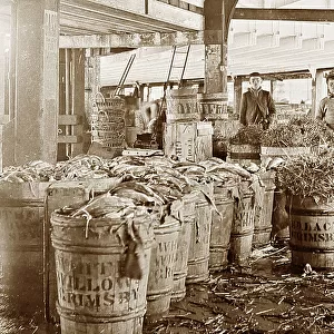 Fish packing shed, Grimsby, Victorian period