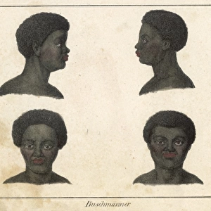 Heads of Bushmen