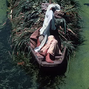 Kashmir, Srinagar. Boatman asleep in shade on back of boat